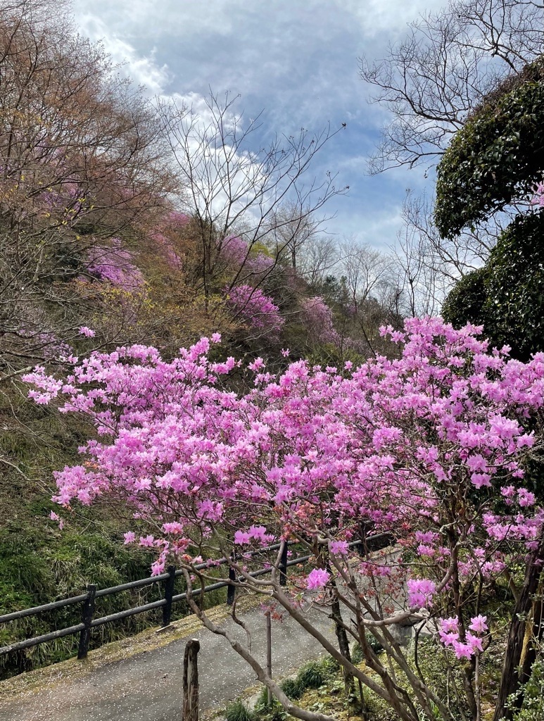 f:id:rumimarusr:20210820014756j:image