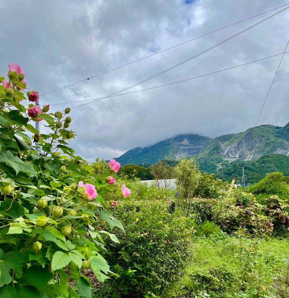 f:id:rumimarusr:20210908111223j:image