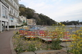 20200413113858
