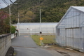 20200413133934