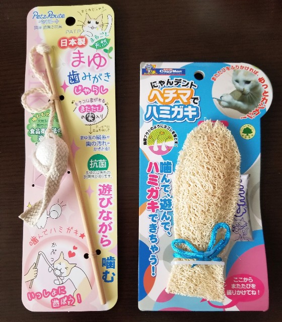 f:id:run-maruko:20200209190717j:image