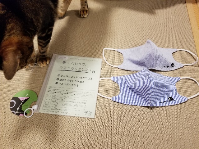 f:id:run-maruko:20200827111712j:image f:id:run-maruko:20200827111712j:image