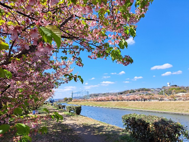 f:id:run-maruko:20230325115630j:image f:id:run-maruko:20230325115630j:image