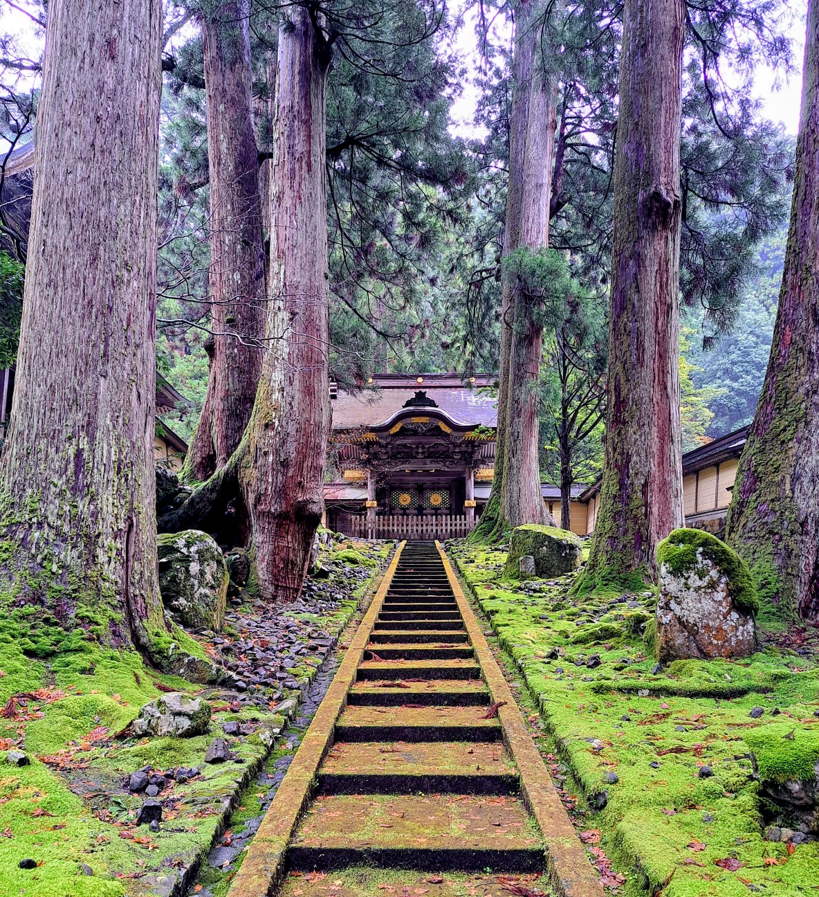 f:id:run-maruko:20251206221012j:image f:id:run-maruko:20251206221012j:image