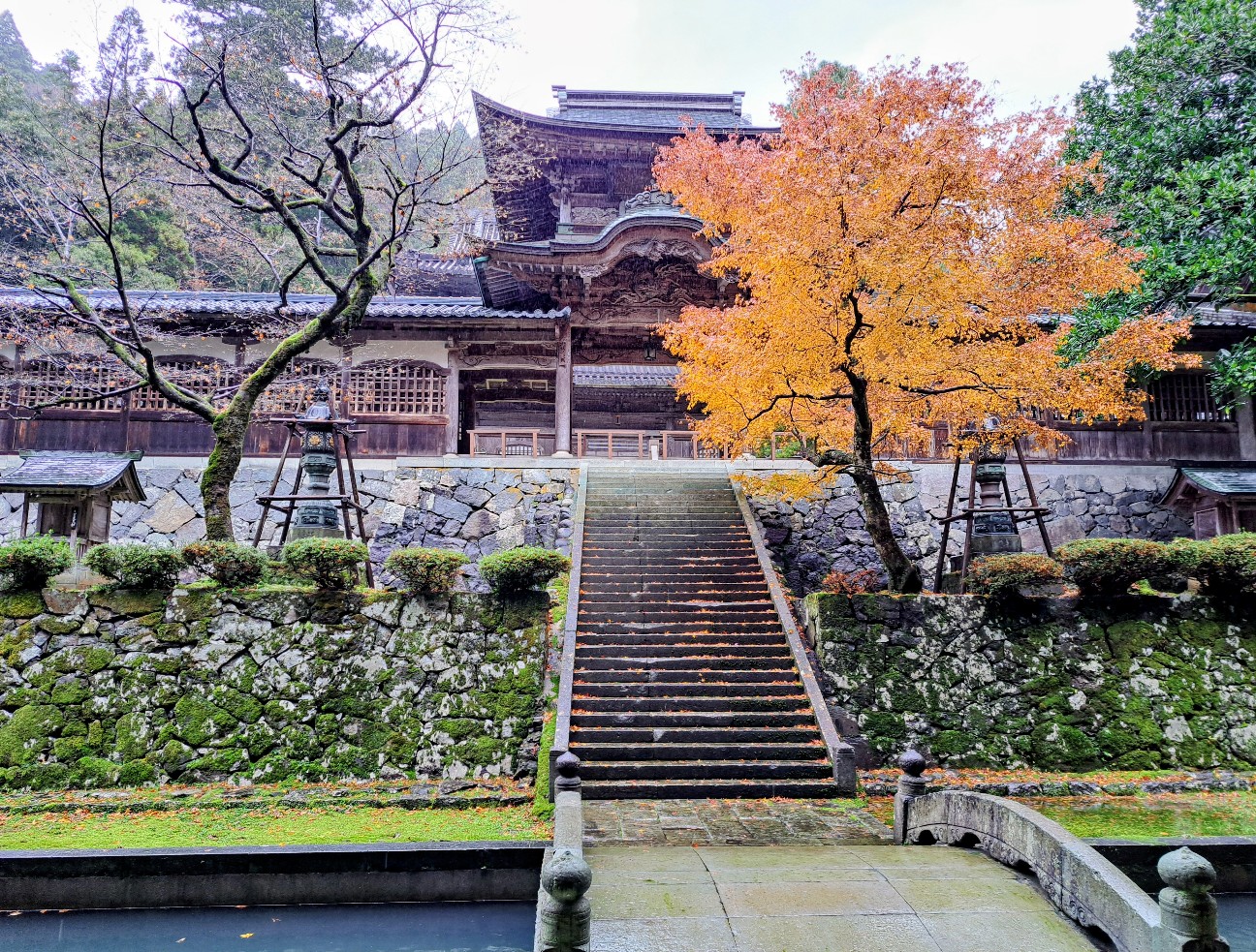 f:id:run-maruko:20251206221044j:image f:id:run-maruko:20251206221044j:image