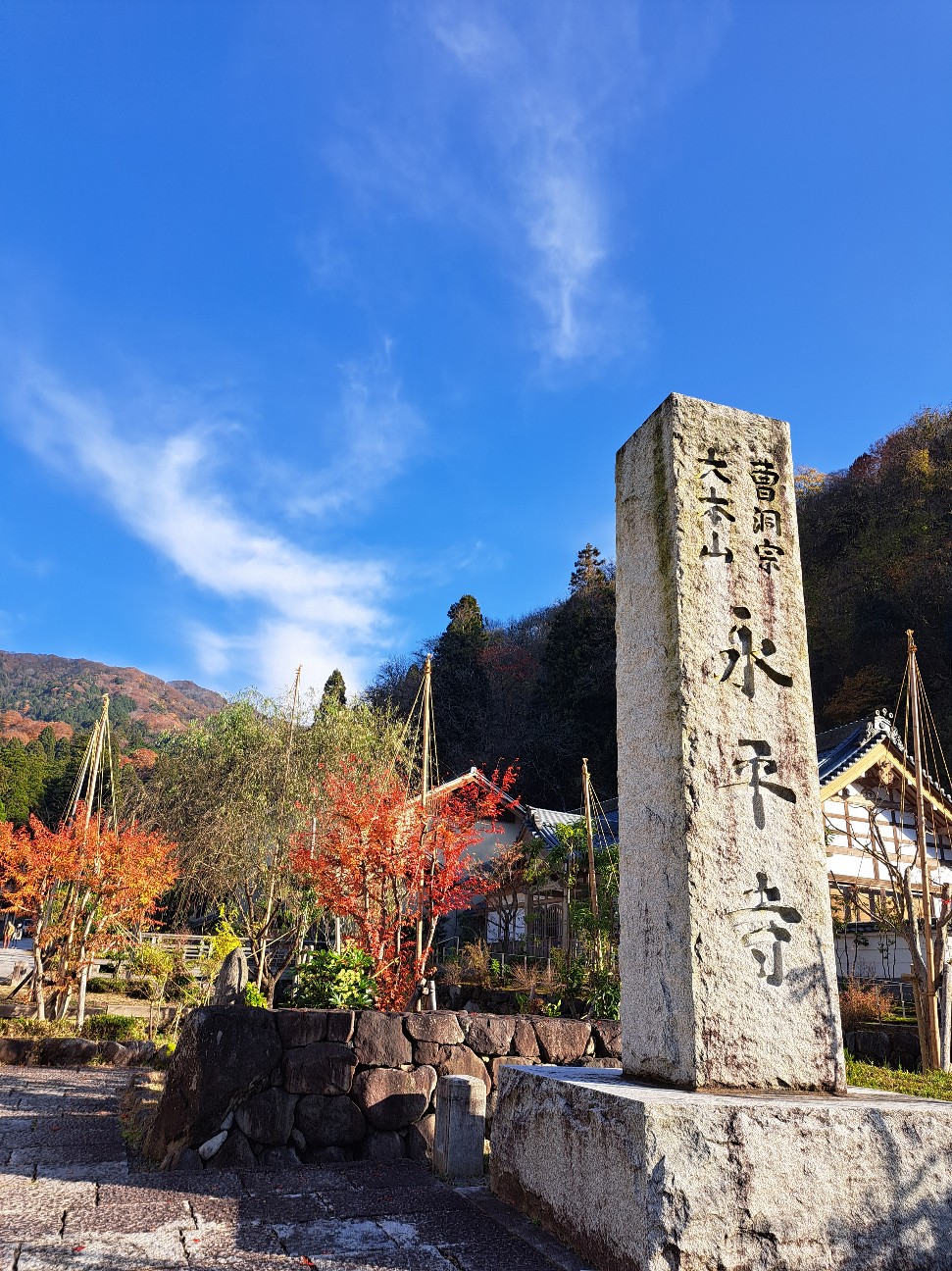 f:id:run-maruko:20251206221245j:image f:id:run-maruko:20251206221245j:image