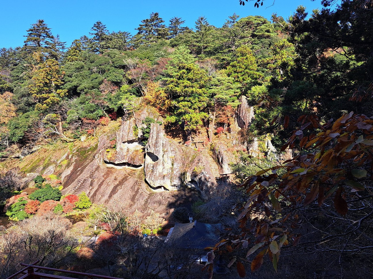 f:id:run-maruko:20251206221430j:image f:id:run-maruko:20251206221430j:image