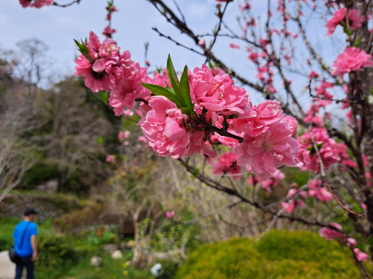 f:id:run-maruko:20260404163346j:image