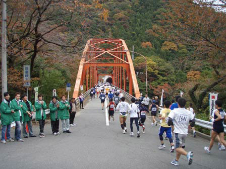 ibiibi007.jpg