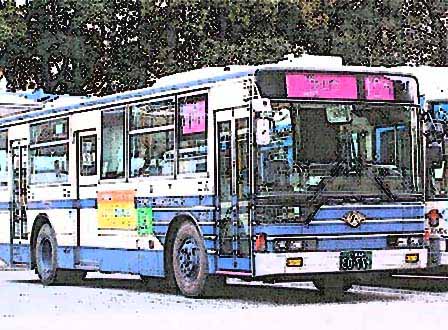 shibasu.jpg