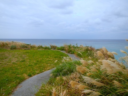 DSCN6410.JPG