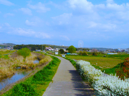 kanare003.jpg