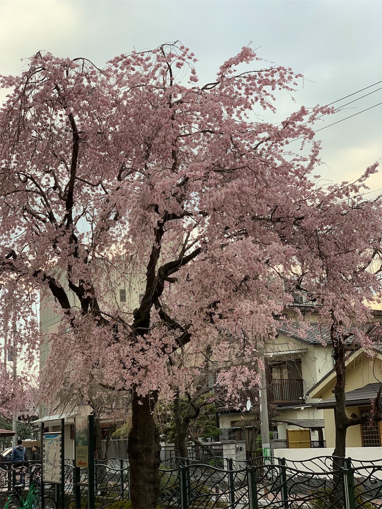 f:id:run104:20190331182950j:image f:id:run104:20190331182950j:image