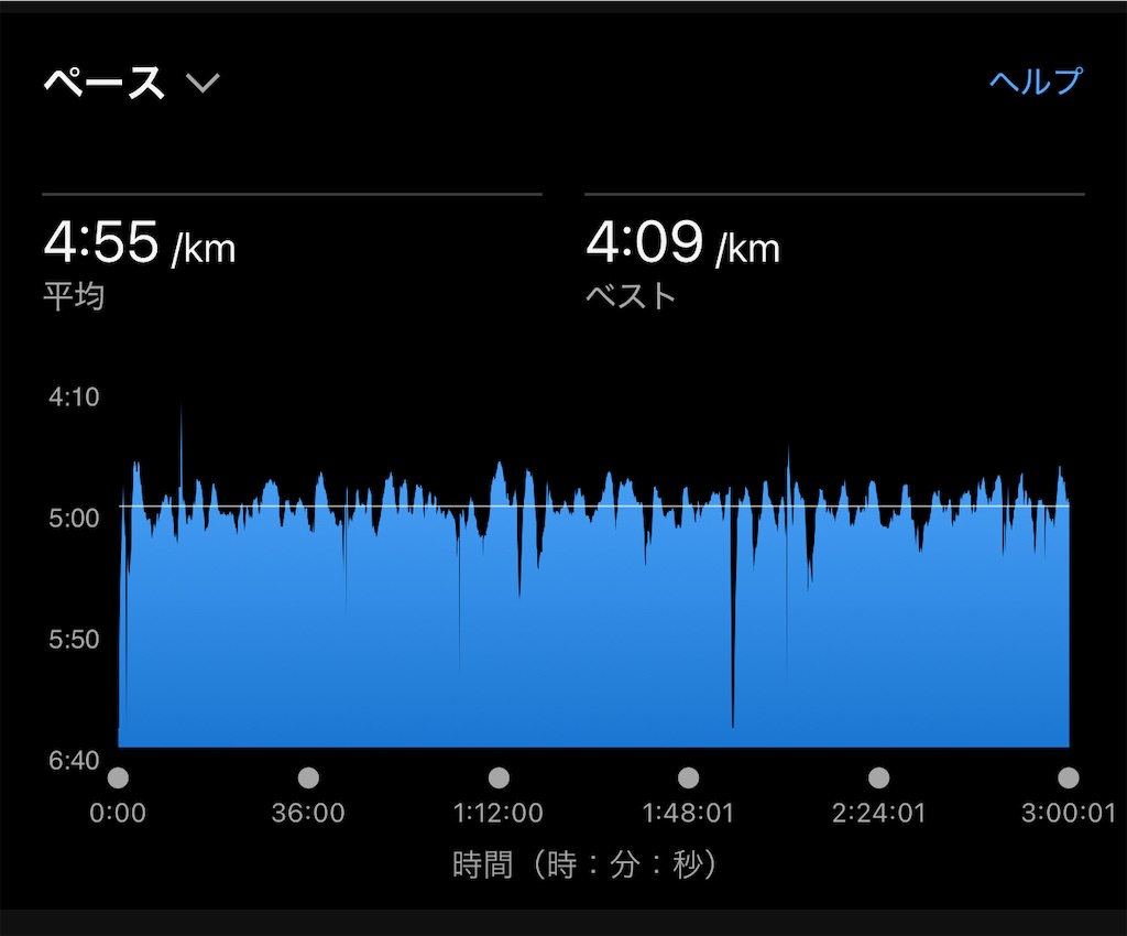 f:id:run50RUN:20250113100450j:image f:id:run50RUN:20250113100450j:image