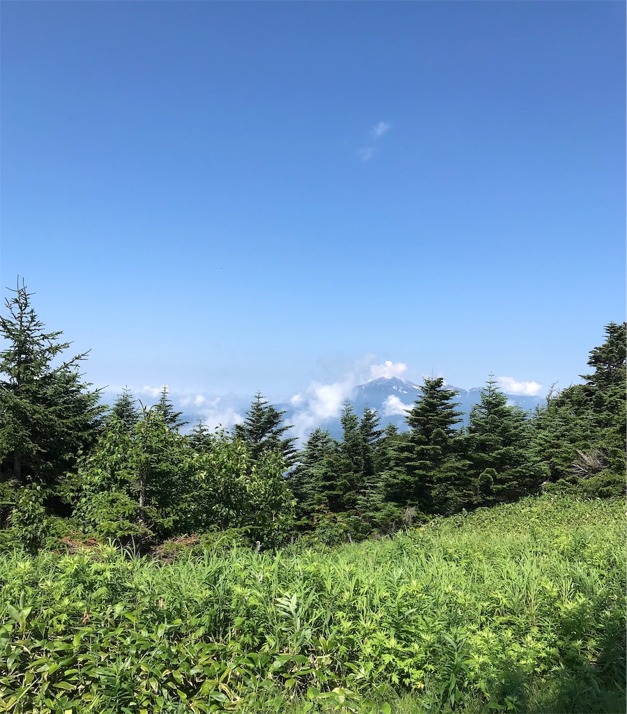 f:id:run_and_pan:20190805094248j:image