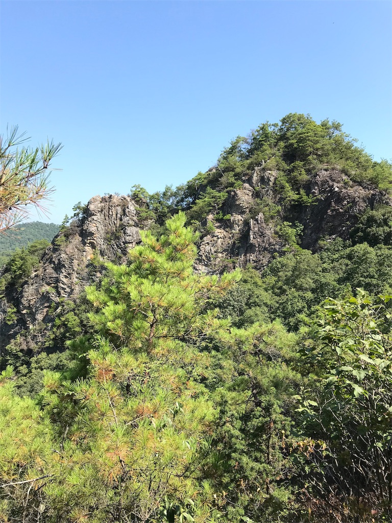 f:id:run_and_pan:20190819094429j:image