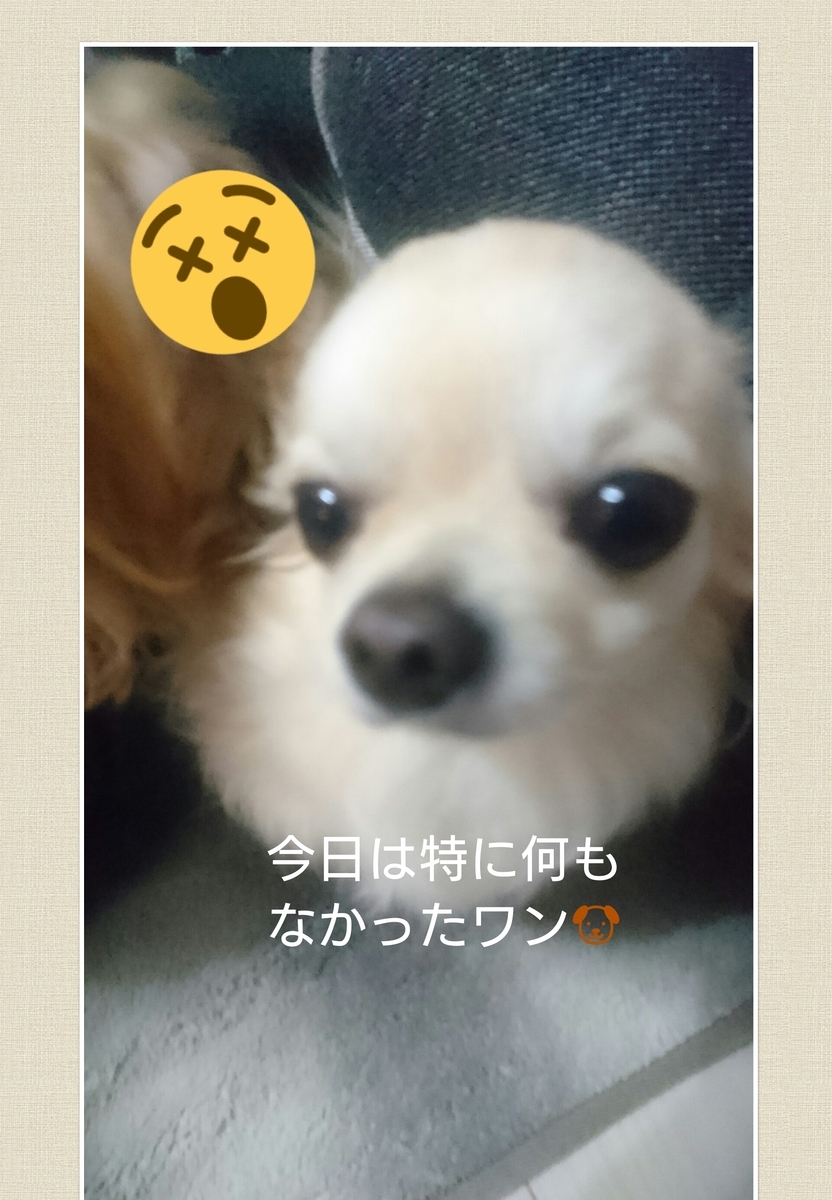 f:id:runa1030:20190504023436j:plain