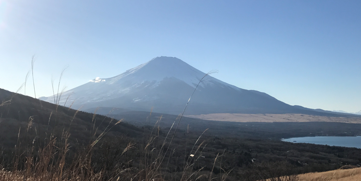 f:id:runa4242:20200217224850p:plain