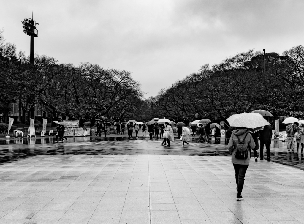 f:id:runavant:20170326174947j:plain f:id:runavant:20170326174947j:plain