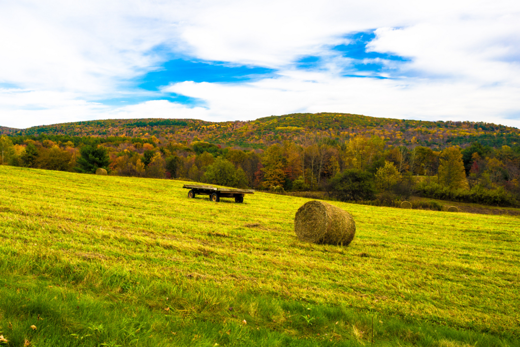 f:id:runavant:20171023121957j:plain