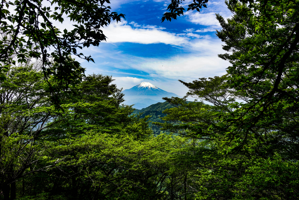 f:id:runavant:20180519191356j:plain f:id:runavant:20180519191356j:plain