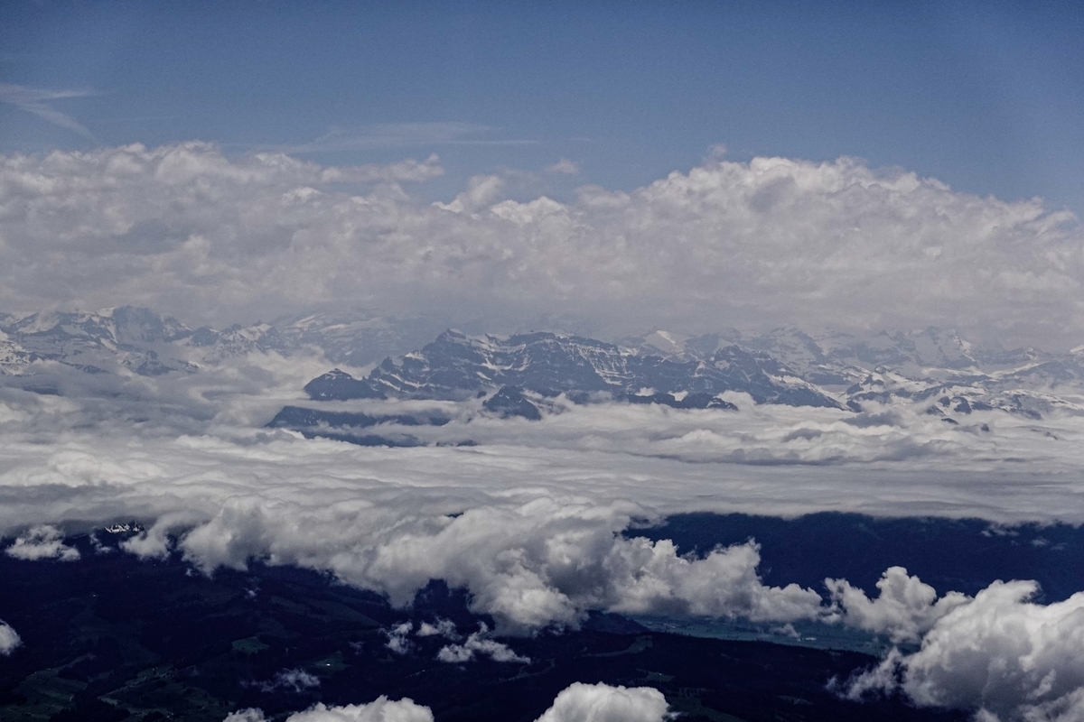 f:id:runavant:20190616135008j:plain f:id:runavant:20190616135008j:plain