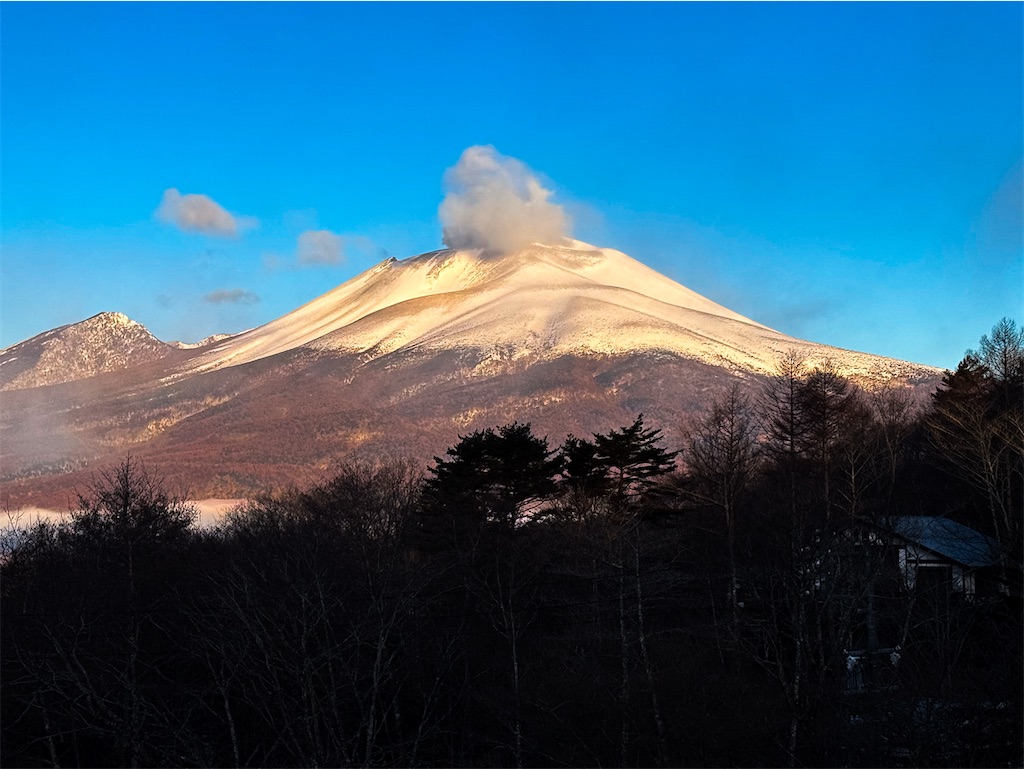 f:id:runavant:20250223103138j:image