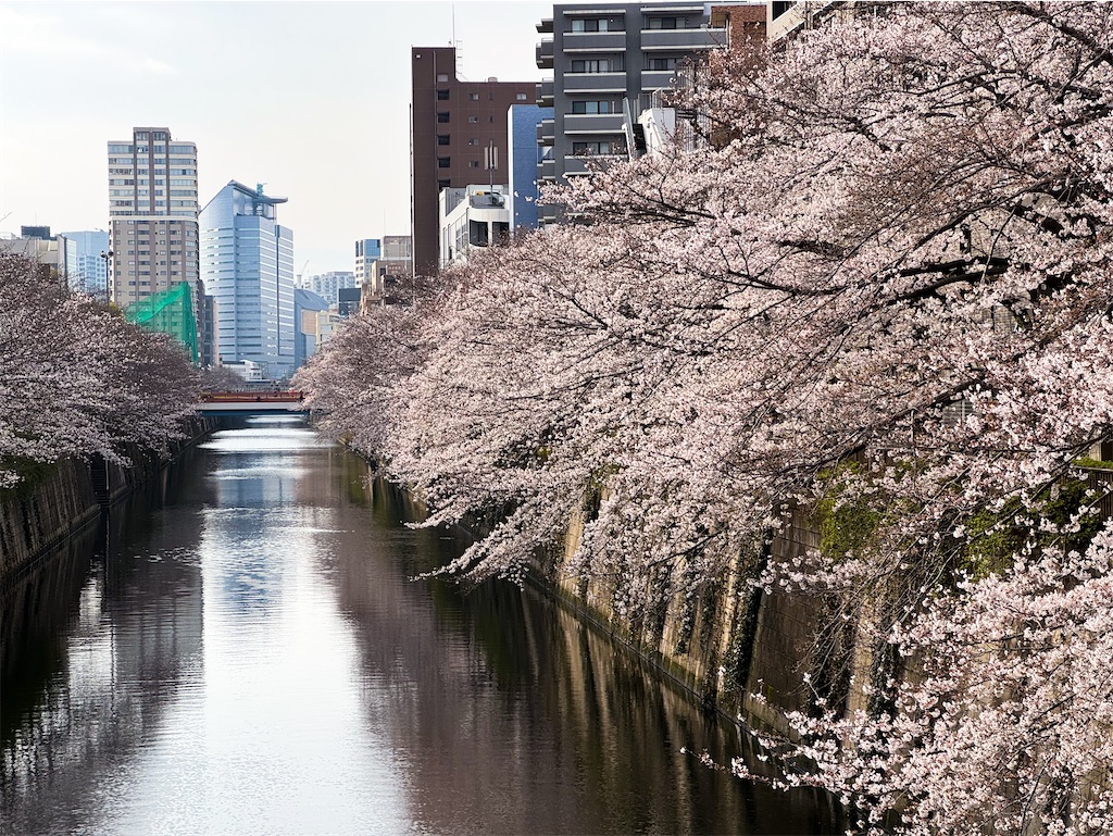 f:id:runavant:20250330170922j:image