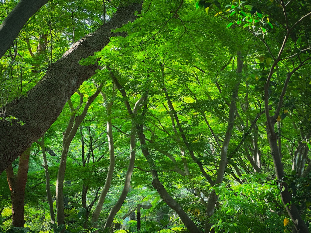 f:id:runavant:20260510112337j:image f:id:runavant:20260510112337j:image