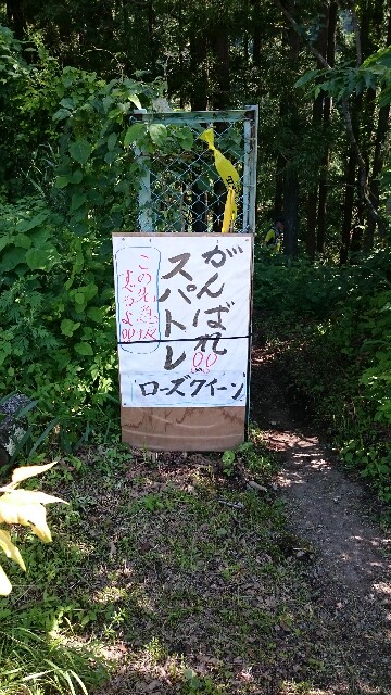 f:id:runbyrun:20180701212808j:image f:id:runbyrun:20180701212808j:image