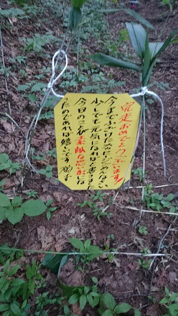 f:id:runbyrun:20180701212834j:image f:id:runbyrun:20180701212834j:image