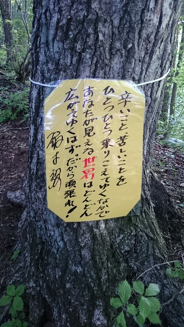 f:id:runbyrun:20180701212848j:image f:id:runbyrun:20180701212848j:image