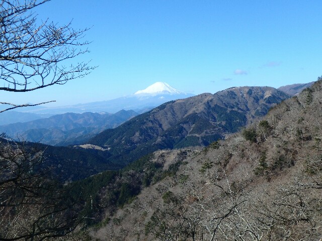 f:id:runbyrun:20190114212821j:image f:id:runbyrun:20190114212821j:image
