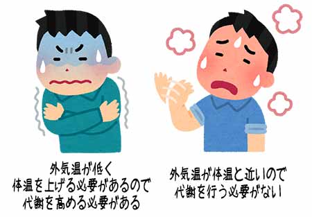 寒い冬は基礎代謝が上がる ダイエットに良いの 効率的に基礎代謝を上げるには ノート