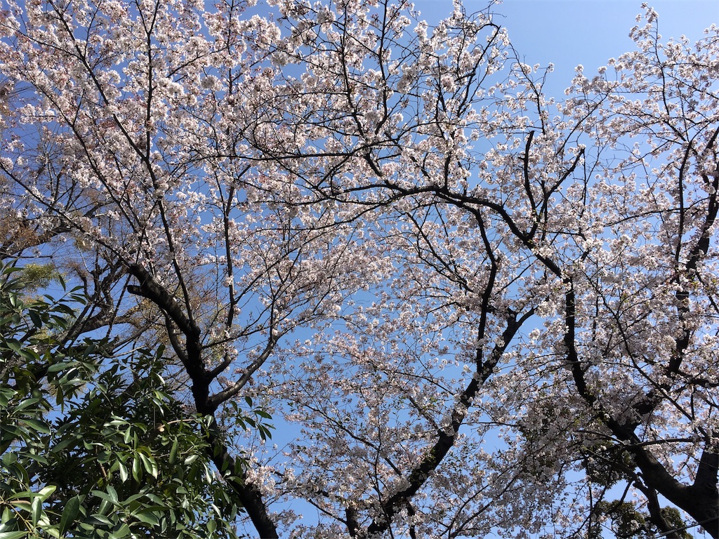 f:id:rungraph:20180401185148j:image f:id:rungraph:20180401185148j:image