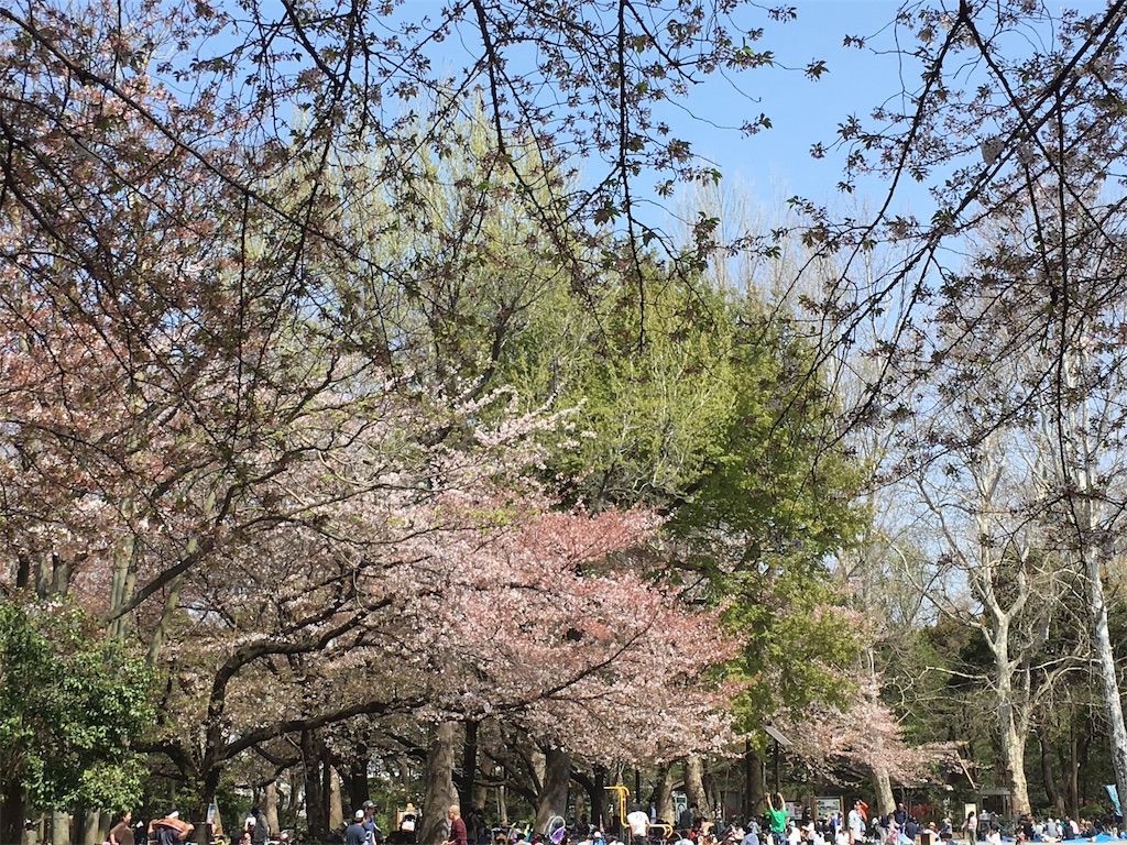 f:id:rungraph:20180401185334j:image f:id:rungraph:20180401185334j:image