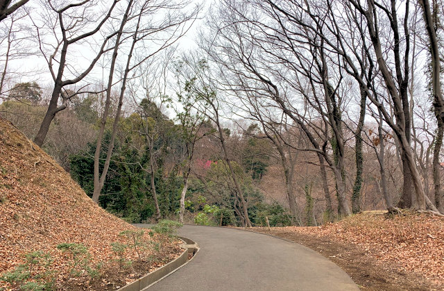 f:id:rungraph:20190212170742j:plain