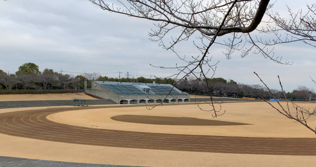 f:id:rungraph:20190212170938j:plain