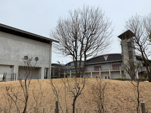 f:id:rungraph:20190212171107j:plain