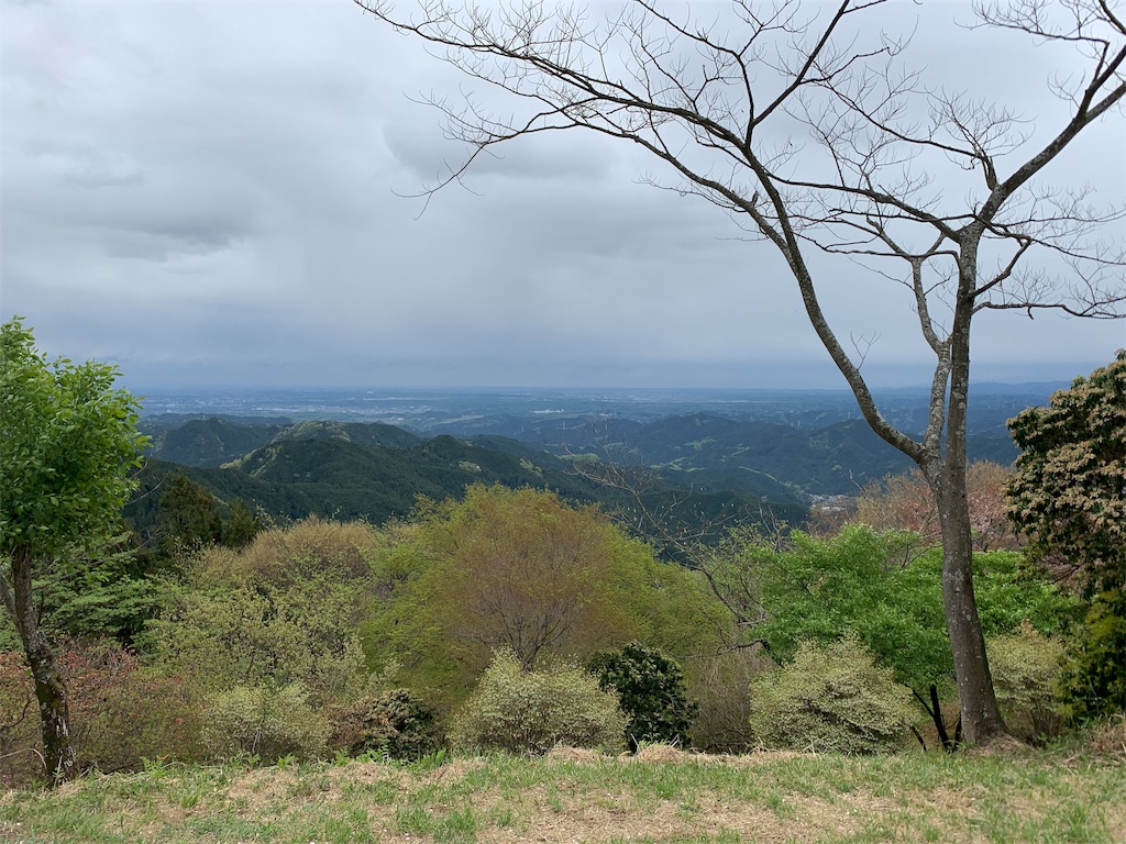 f:id:rungraph:20190503142652j:image f:id:rungraph:20190503142652j:image