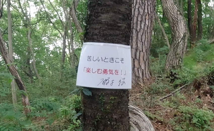 f:id:rungraph:20190607221851p:plain f:id:rungraph:20190607221851p:plain