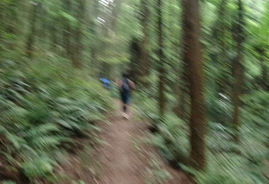 f:id:rungraph:20190607222053p:plain f:id:rungraph:20190607222053p:plain