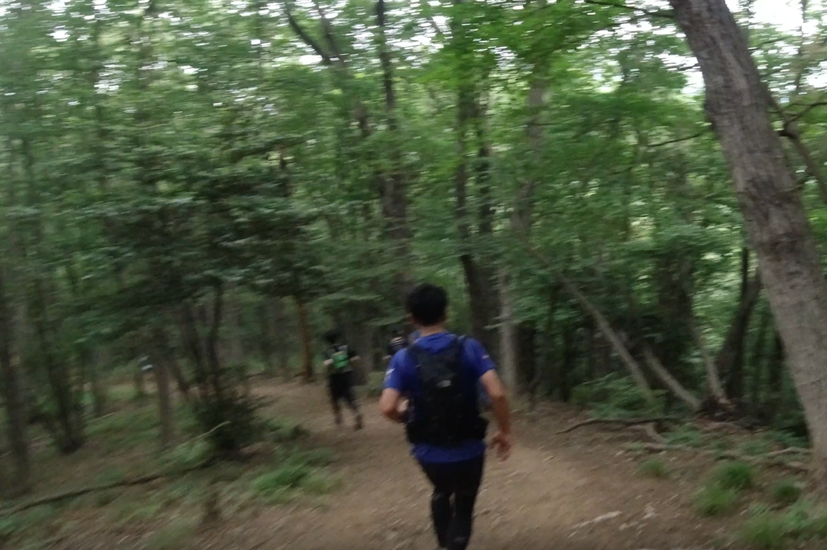 f:id:rungraph:20190607222224p:plain f:id:rungraph:20190607222224p:plain
