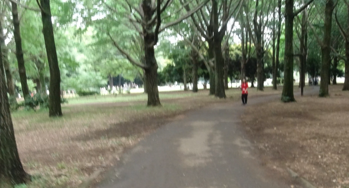 f:id:rungraph:20190610195506p:plain f:id:rungraph:20190610195506p:plain