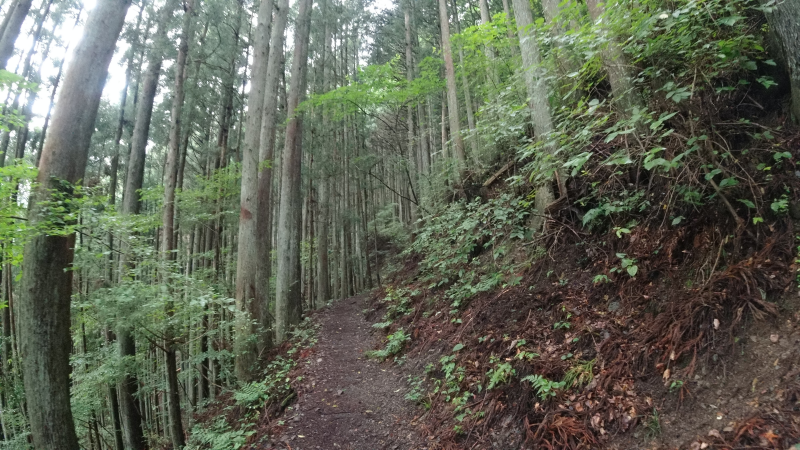 f:id:rungraph:20190709175956p:plain f:id:rungraph:20190709175956p:plain