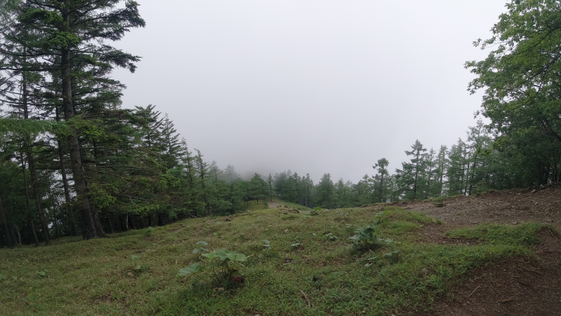 f:id:rungraph:20190709180501p:plain f:id:rungraph:20190709180501p:plain