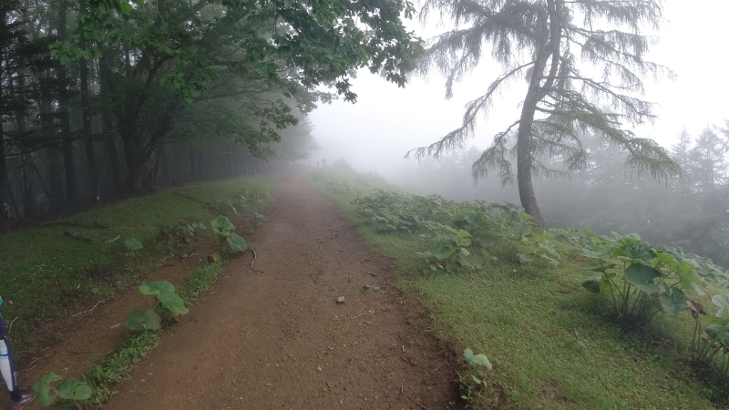 f:id:rungraph:20190709180714p:plain f:id:rungraph:20190709180714p:plain