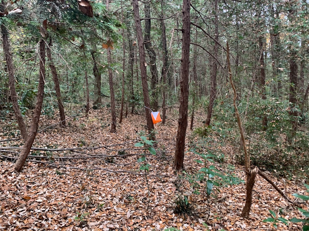 f:id:rungraph:20191223204545j:image