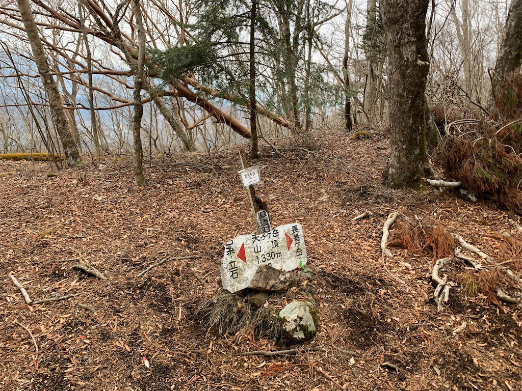 f:id:rungraph:20200301191322j:image