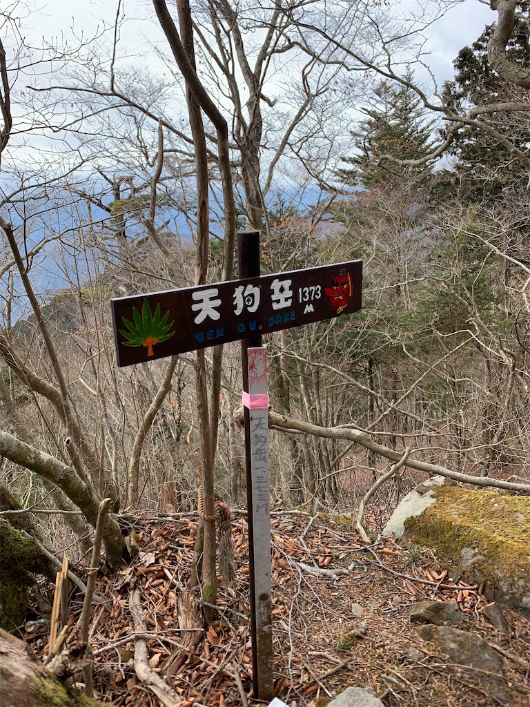 f:id:rungraph:20200301192911j:image